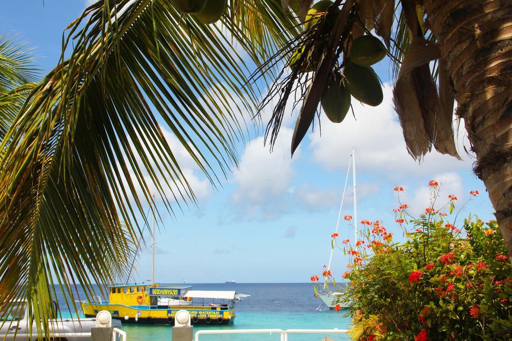 Bonaire Seaside Apartments エクステリア 写真
