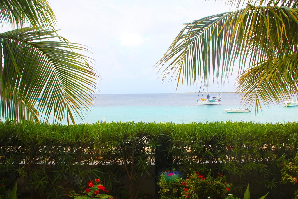 Bonaire Seaside Apartments エクステリア 写真