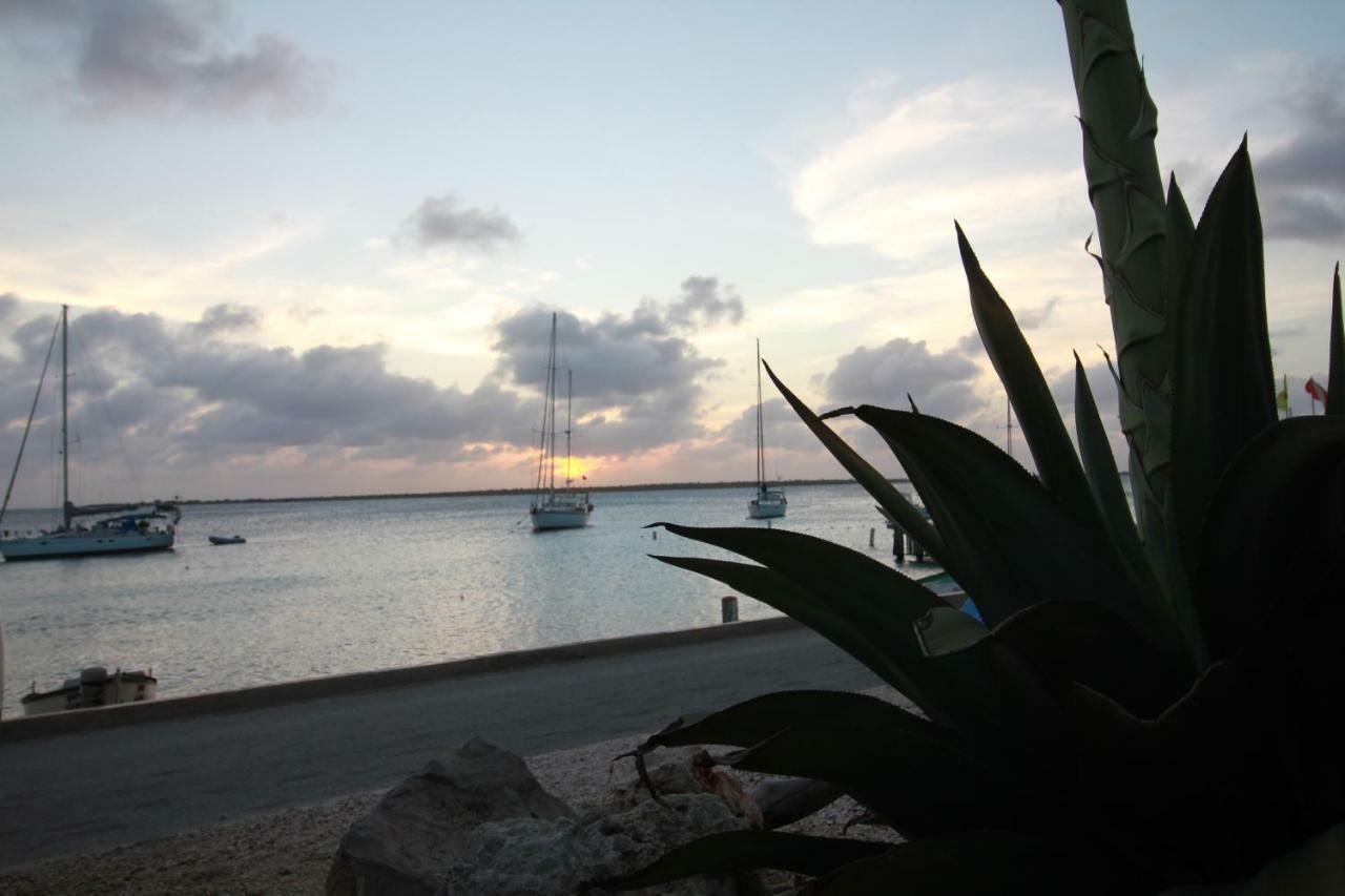 Bonaire Seaside Apartments エクステリア 写真